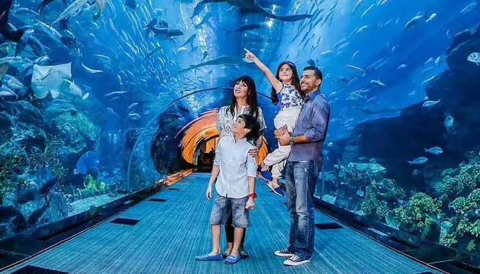 Dubai: Tickets to Dubai Aquarium & Underwater Zoo